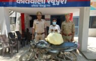 जीबीएन एक्सप्रेस न्यूज़ - थाना रबूपुरा पुलिस द्वारा गांजे की तस्करी करने वाला 01 अभियुक्त गिरफ्तार, कब्जे से कुल 08 किलो 100 ग्राम अवैध गांजा व 01 मोटर साईकिल बजाज डिस्कवर रजि0नं0 DL 9SU 2008 बरामद । GBN Express news