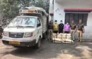 फेस 2 नोएडा , पुलिस द्वारा चोरी करने वाले 03 अभियुक्त गिरफ्तार, कब्जे से 08 प्लास्टिक के कट्टे दाने भरे हुये कुल वजन 200 किलोग्राम व घटना में प्रयुक्त अशोक लीलैण्ड लोडर गाडी बरामद। GBN Express nesw