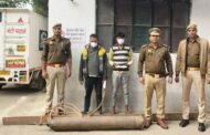 थाना फेस-2 पुलिस द्वारा 02 चोर गिरफ्तार, कब्जे से चोरी का लोहे का खम्भा (लम्बाई 12 फुट), चोरी करने के लिये प्रयोग में लिये जाने वाले उपकरण व अवैध हथियार बरामद। GBN Express news