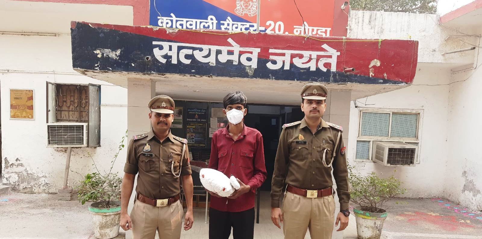 नोएडा,सेक्टर 20 पुलिस द्वारा गांजा तस्कर 01 अभियुक्त गिरफ्तार, कब्जे से 1 किलो 500 ग्राम गांजा बरामद। GBN Express news