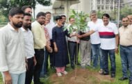 ग्रेटर नोएडा। ग्रेटर नोएडा प्राधिकरण ने सेक्टर 105 मीटर रोड पर किए पौधरोपण I