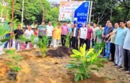 ग्रेटर नोएडा- आर डब्ल्यू ए डेल्टा टू द्वारा वृक्षारोपण कार्यक्रम आयोजित I