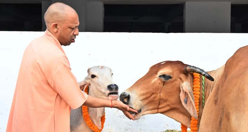 गोरखपुर- गोरखनाथ मंदिर की गोशाला में मुख्यमंत्री ने की गोवर्धन पूजा I